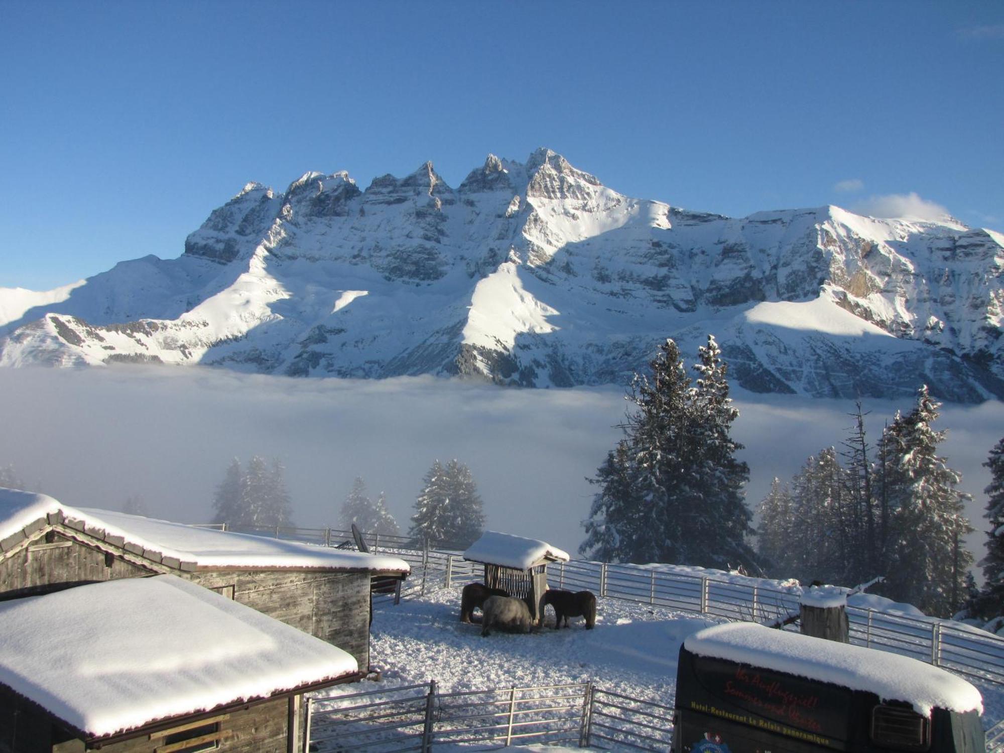 Hotel-Restaurant Le Relais Panoramique Les Crosets Kültér fotó
